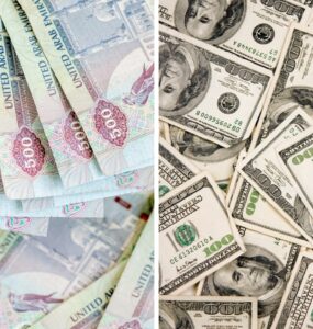 Dubaj dolary czy euro? – jakie pieniądze zabrać do Dubaju?