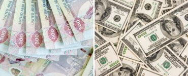 Dubaj dolary czy euro? – jakie pieniądze zabrać do Dubaju?