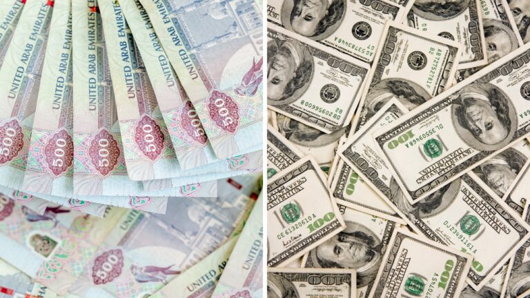 Dubaj dolary czy euro? – jakie pieniądze zabrać do Dubaju?
