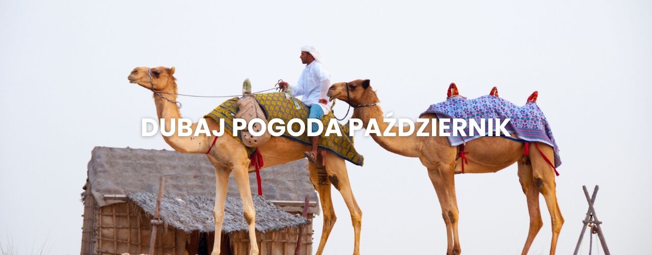 Pogoda w Dubaju w październiku – temperatura, klimat, warunki do wypoczynku. Dubaj pogoda październik