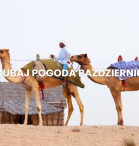 Pogoda w Dubaju w październiku – temperatura, klimat, warunki do wypoczynku. Dubaj pogoda październik