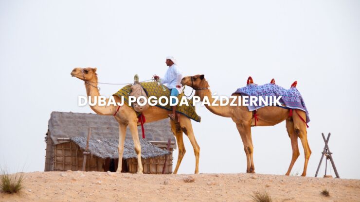 Pogoda w Dubaju w październiku – temperatura, klimat, warunki do wypoczynku. Dubaj pogoda październik