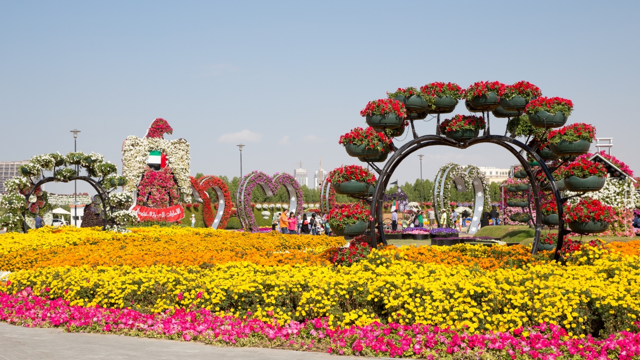 Czy Miracle Garden nadaje się dla dzieci?
