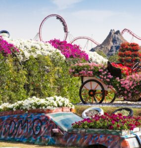 Miracle Garden w Dubaju