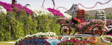 Miracle Garden w Dubaju