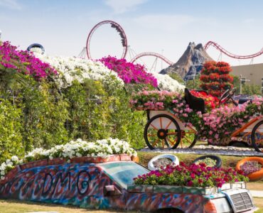 Miracle Garden w Dubaju