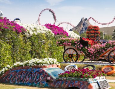Miracle Garden w Dubaju