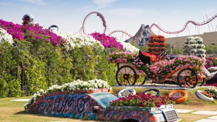 Miracle Garden w Dubaju