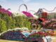 Miracle Garden w Dubaju