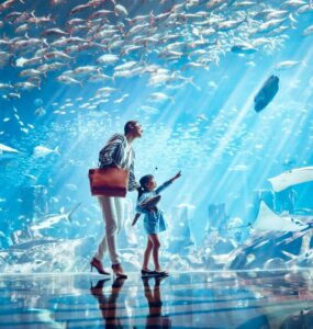 The Lost Chambers Aquarium – atrakcje w Dubaju