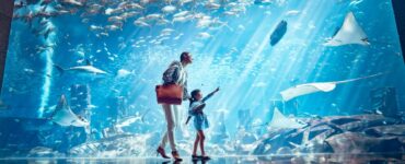The Lost Chambers Aquarium – atrakcje w Dubaju