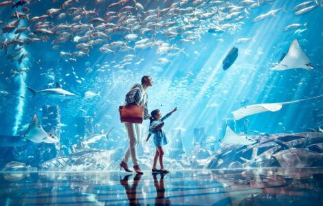 The Lost Chambers Aquarium – atrakcje w Dubaju