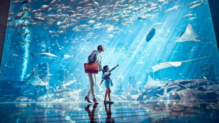 The Lost Chambers Aquarium – atrakcje w Dubaju
