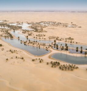 Al Qudra Lakes atrakcje na obrzeżach Dubaju
