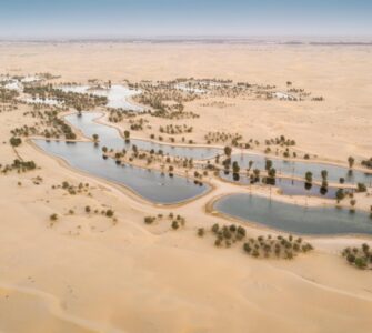 Al Qudra Lakes atrakcje na obrzeżach Dubaju