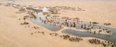 Al Qudra Lakes atrakcje na obrzeżach Dubaju