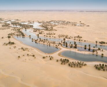 Al Qudra Lakes atrakcje na obrzeżach Dubaju