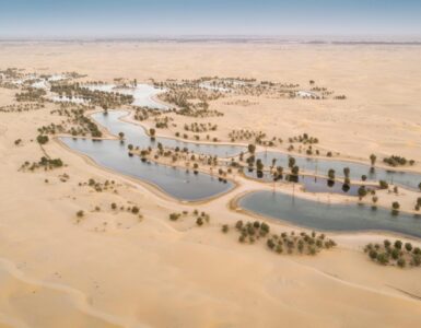Al Qudra Lakes atrakcje na obrzeżach Dubaju