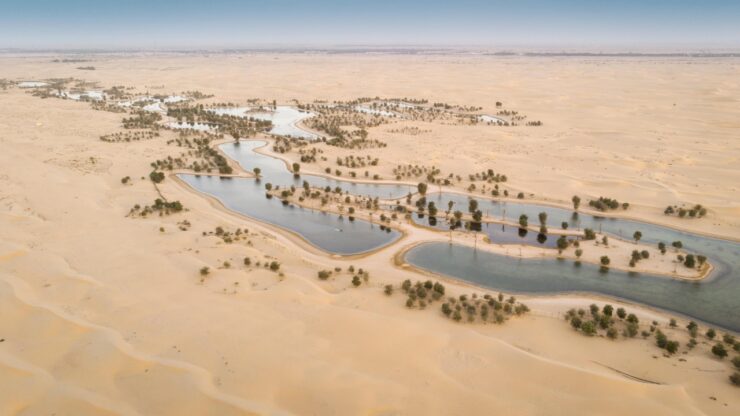 Al Qudra Lakes atrakcje na obrzeżach Dubaju