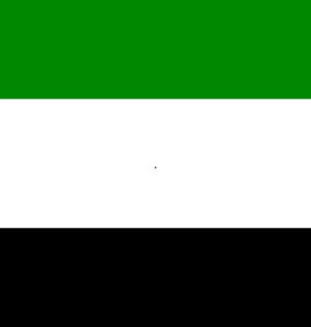 Flaga Zjednoczonych Emiratów Arabskich, Flaga ZEA