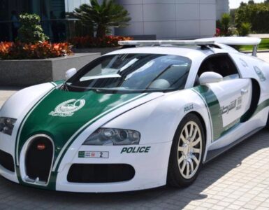 Policaj w Dubaju