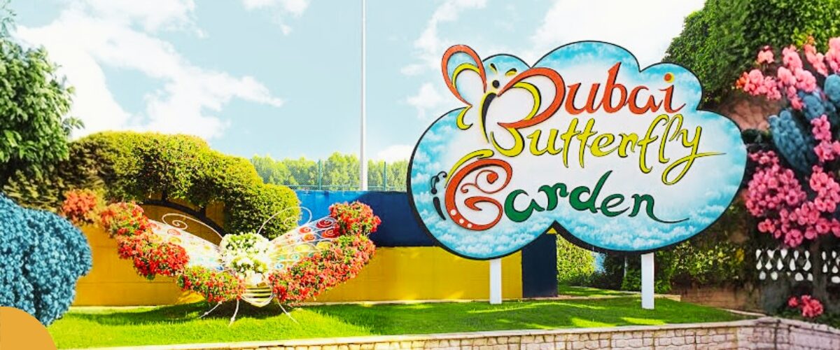 Dubai Butterfly Garden