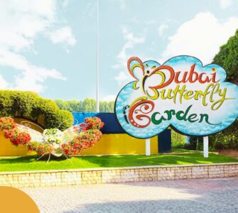 Dubai Butterfly Garden