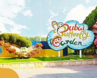 Dubai Butterfly Garden