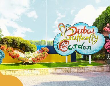 Dubai Butterfly Garden