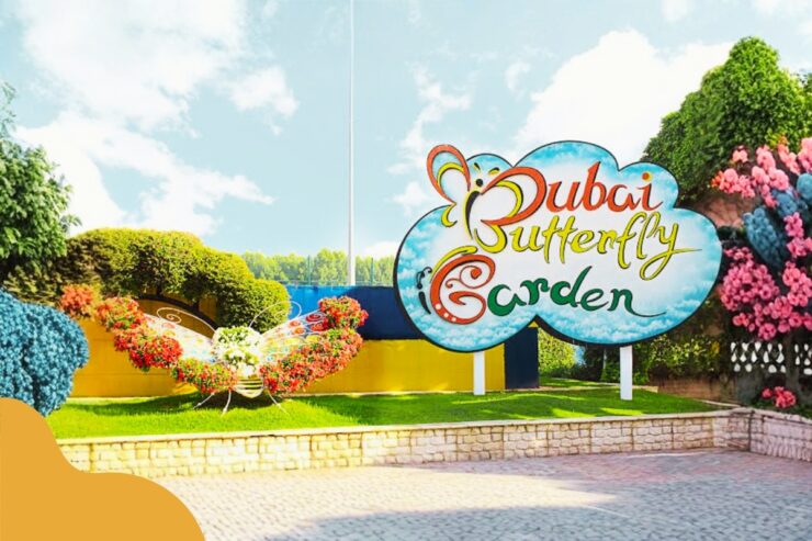 Dubai Butterfly Garden