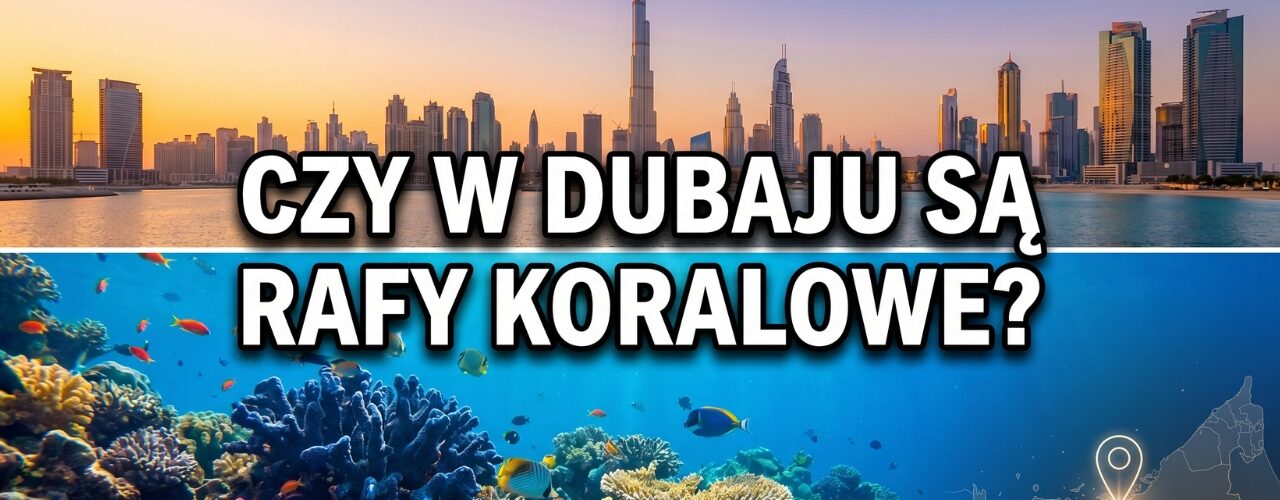 Czy w Dubaju są rafy koralowe?