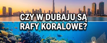 Czy w Dubaju są rafy koralowe?