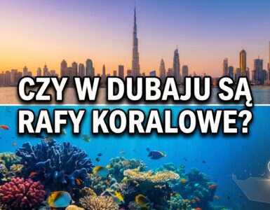 Czy w Dubaju są rafy koralowe?