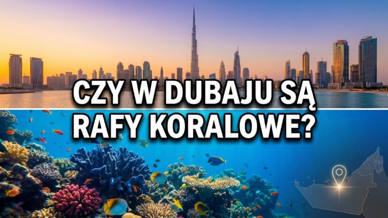 Czy w Dubaju są rafy koralowe?